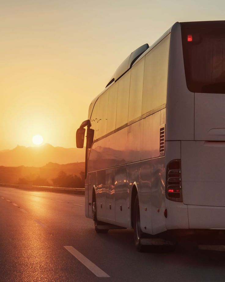 Executive Coaches luxury fleet